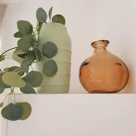 Apartment Studio 